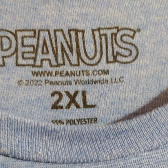 Peanuts Fun And Chic Light Blue T-Shirt - Picture 2 of 3